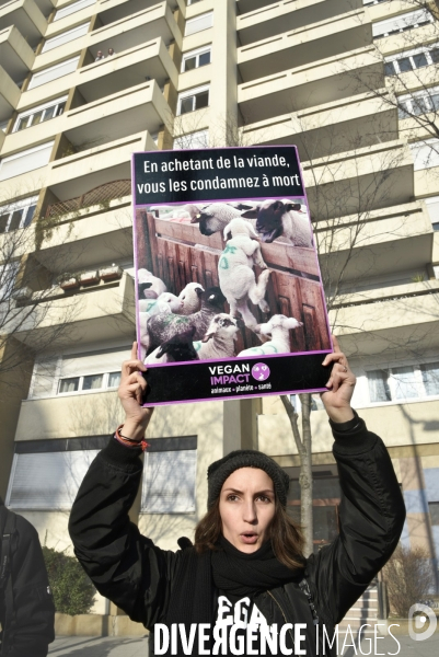 Manifestation au Salon de l agriculture contre l exploitation animale.