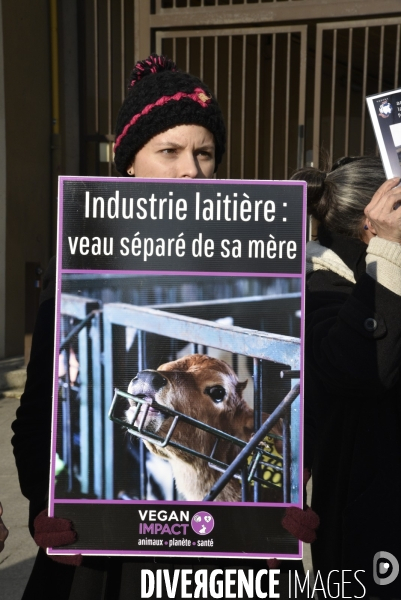 Manifestation au Salon de l agriculture contre l exploitation animale.