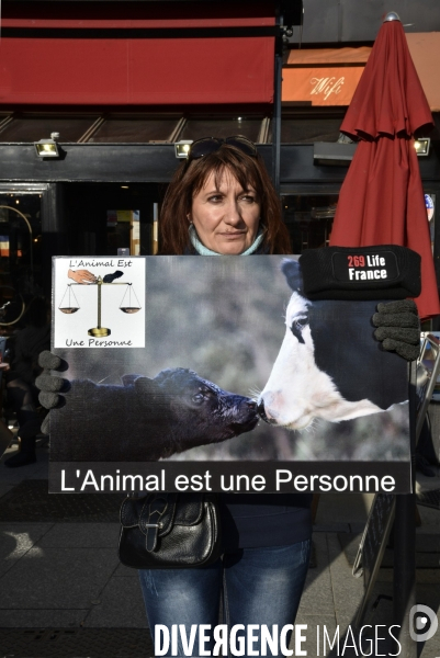 Manifestation au Salon de l agriculture contre l exploitation animale.