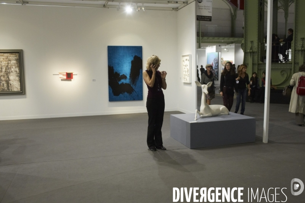 FIAC 2012