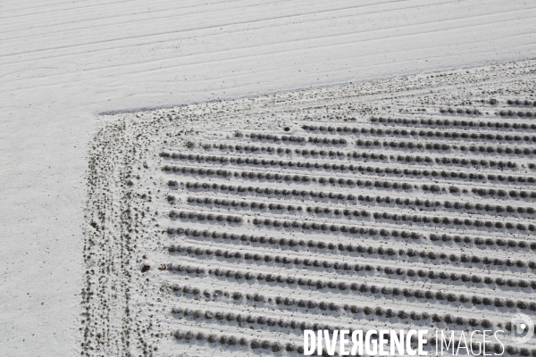 Vol dans un nuage de neige du Verdon