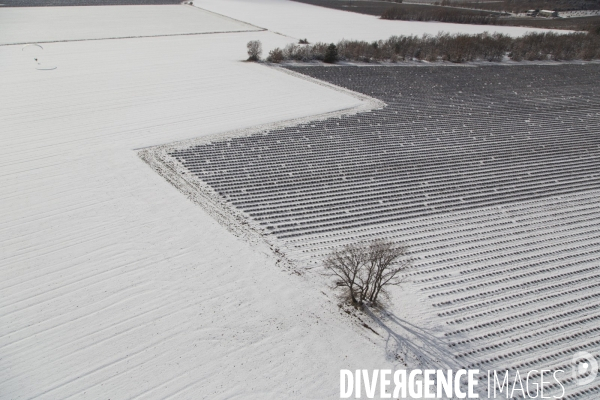 Vol dans un nuage de neige du Verdon