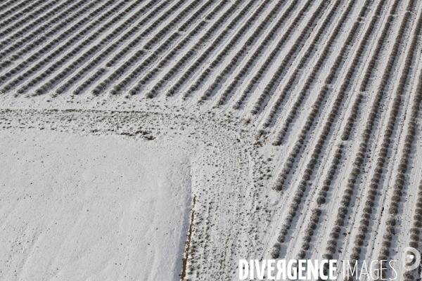 Vol dans un nuage de neige du Verdon