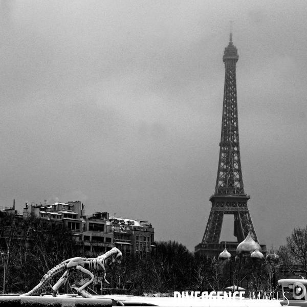 Neige à Paris. Snow in Paris.