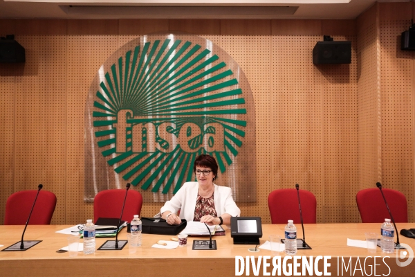 Christiane lambert presidente de la fnsea