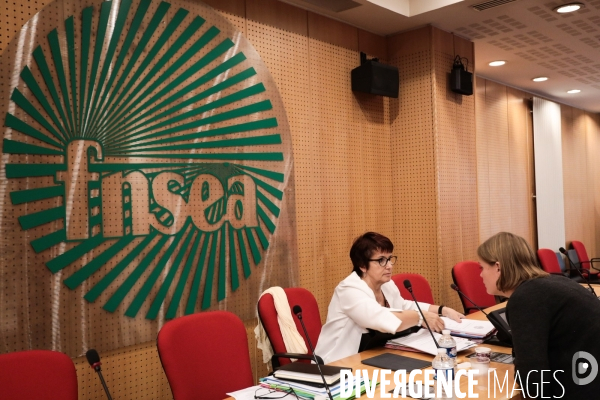 Christiane lambert presidente de la fnsea