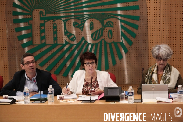 Christiane lambert presidente de la fnsea