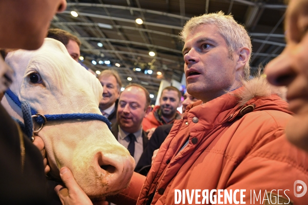 Laurent Wauquiez au salon de l agriculture