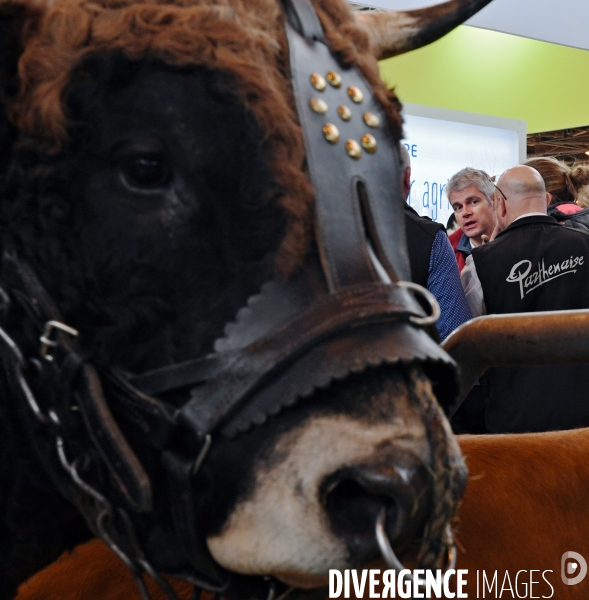 Laurent Wauquiez au salon de l agriculture