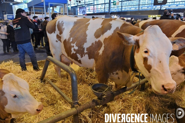 Le salon de l agriculture 2018