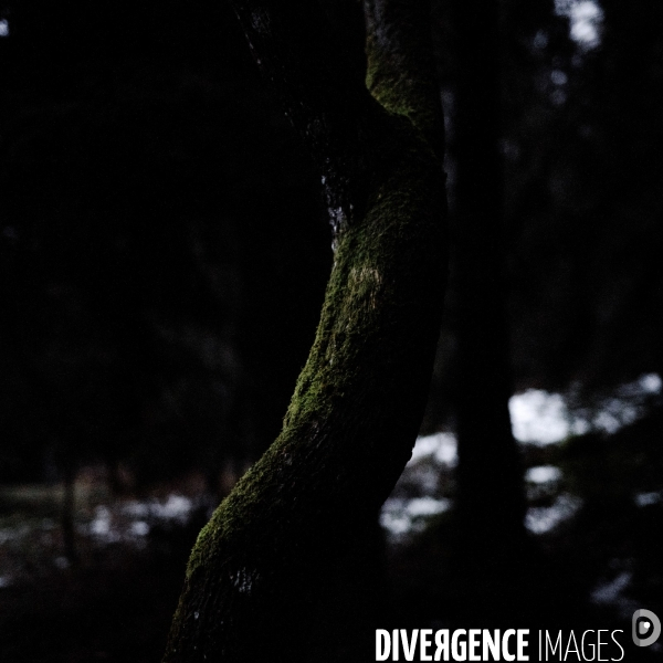 Hiver en Morvan