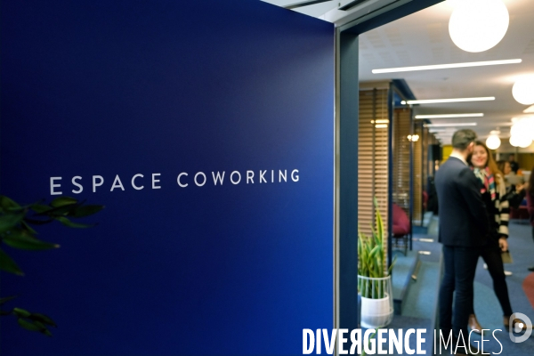 Coworking