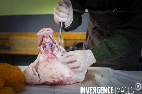 Petite Chronique d en Haut 2018 La fête du cochon