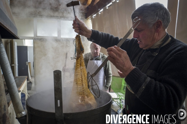 Petite Chronique d en Haut 2018 La fête du cochon