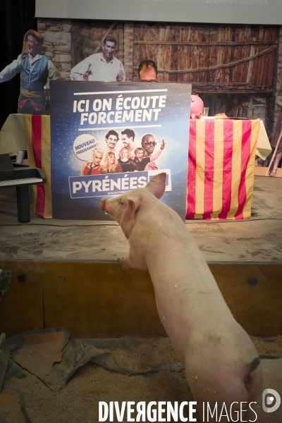 Petite Chronique d en Haut 2018 La fête du cochon