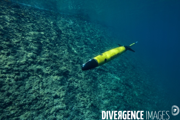 Le planeur sous marin (Glider)  SEAEXPLORER