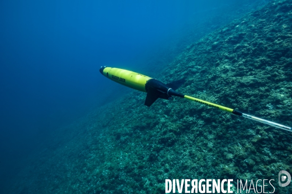 Le planeur sous marin (Glider)  SEAEXPLORER