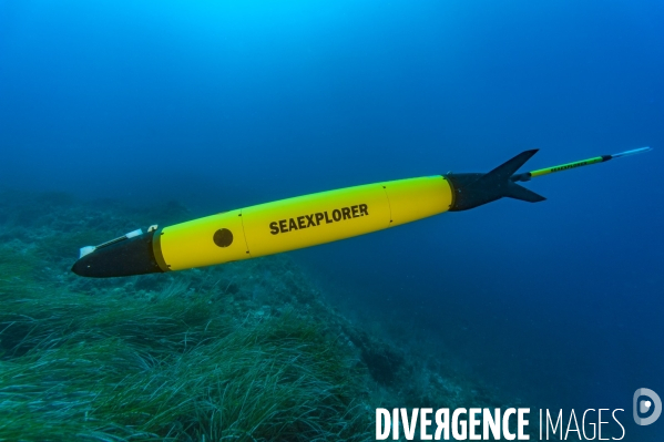 Le planeur sous marin (Glider)  SEAEXPLORER