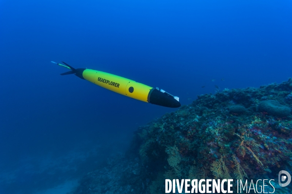 Le planeur sous marin (Glider)  SEAEXPLORER