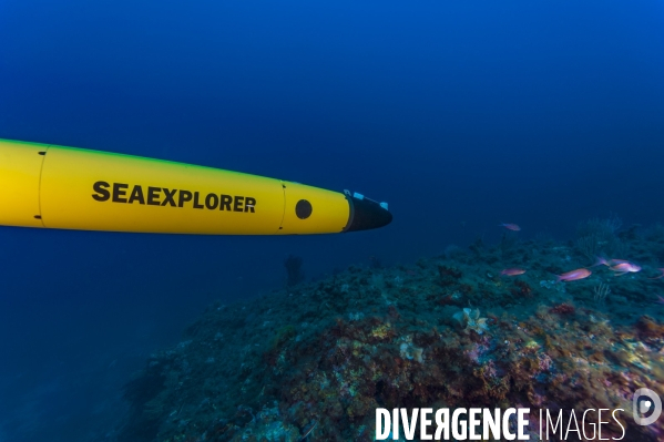 Le planeur sous marin (Glider)  SEAEXPLORER