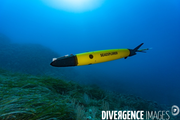 Le planeur sous marin (Glider)  SEAEXPLORER