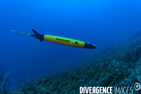 Le planeur sous marin (Glider)  SEAEXPLORER