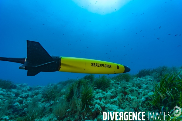 Le planeur sous marin (Glider)  SEAEXPLORER