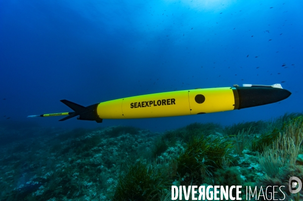 Le planeur sous marin (Glider)  SEAEXPLORER