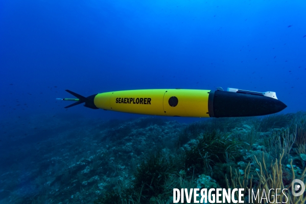 Le planeur sous marin (Glider)  SEAEXPLORER