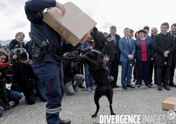 Présentation des résultats 2017 de la douane