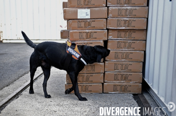 Controle de la douane au port de Gennevilliers