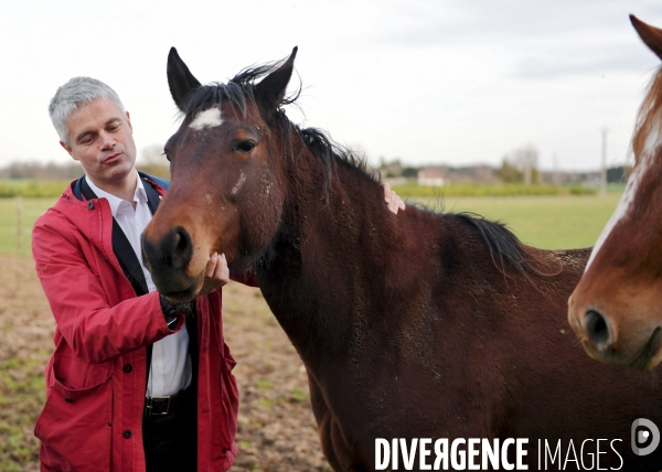 Laurent wauquiez