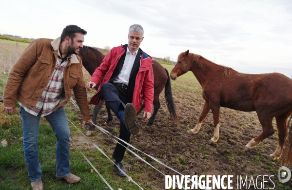 Laurent wauquiez