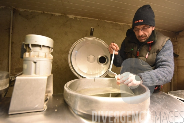 La collecte du #lait avec Franck, le #fromager #Agriculture #Jura #FrancheComté Le Val d Amour - Jura - Saison 4 Coopérative de Grange de Vaivre A l heure de la