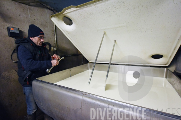 La collecte du #lait avec Franck, le #fromager #Agriculture #Jura #FrancheComté Le Val d Amour - Jura - Saison 4 Coopérative de Grange de Vaivre A l heure de la