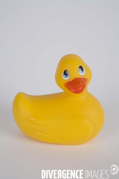 Le canard vibrant/sex toys