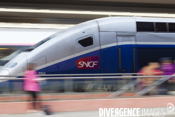 SNCF gare et réseau en région Paca