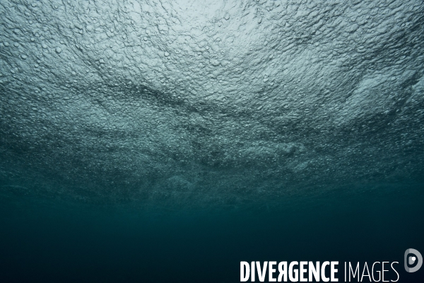 Pluie sous la surface de la mer à Mayotte