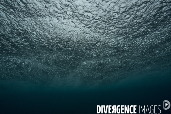 Pluie sous la surface de la mer à Mayotte