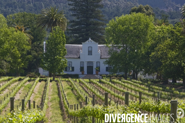 Le cap/afrique du sud