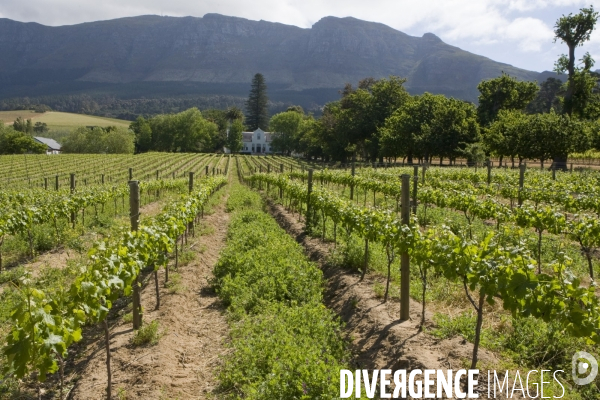 Le cap/afrique du sud