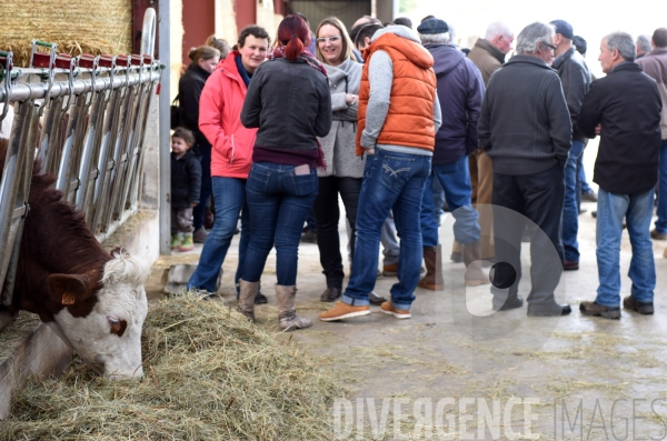 #PortesOuvertes #Exploitation #Agricole La #Vache ! ça #gratouille ! #Jura Journée  Portes Ouvertes  au Gaec des Arbus, une importante exploitation agricole (élevage laitier, céréales) du Val d Amour.