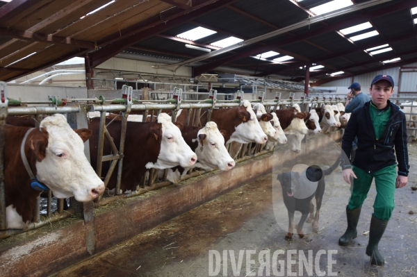 #PortesOuvertes #Exploitation #Agricole La #Vache ! ça #gratouille ! #Jura Journée  Portes Ouvertes  au Gaec des Arbus, une importante exploitation agricole (élevage laitier, céréales) du Val d Amour.