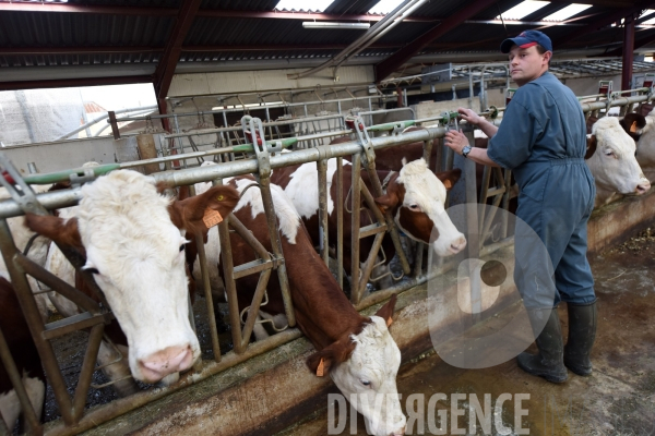 #PortesOuvertes #Exploitation #Agricole La #Vache ! ça #gratouille ! #Jura Journée  Portes Ouvertes  au Gaec des Arbus, une importante exploitation agricole (élevage laitier, céréales) du Val d Amour.