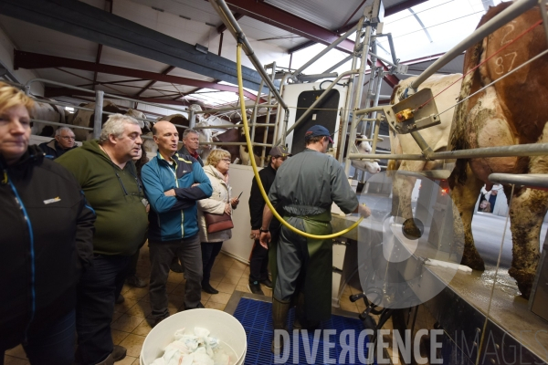 #PortesOuvertes #Exploitation #Agricole La #Vache ! ça #gratouille ! #Jura Journée  Portes Ouvertes  au Gaec des Arbus, une importante exploitation agricole (élevage laitier, céréales) du Val d Amour.