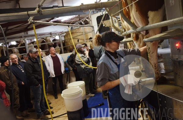 #PortesOuvertes #Exploitation #Agricole La #Vache ! ça #gratouille ! #Jura Journée  Portes Ouvertes  au Gaec des Arbus, une importante exploitation agricole (élevage laitier, céréales) du Val d Amour.