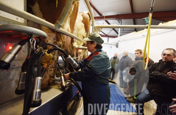 #PortesOuvertes #Exploitation #Agricole La #Vache ! ça #gratouille ! #Jura Journée  Portes Ouvertes  au Gaec des Arbus, une importante exploitation agricole (élevage laitier, céréales) du Val d Amour.