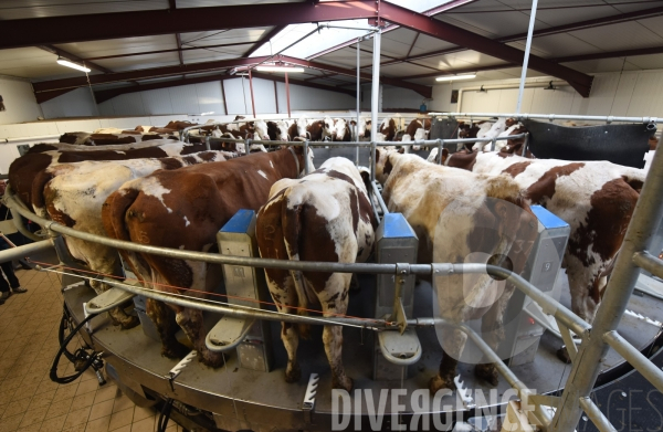 #PortesOuvertes #Exploitation #Agricole La #Vache ! ça #gratouille ! #Jura Journée  Portes Ouvertes  au Gaec des Arbus, une importante exploitation agricole (élevage laitier, céréales) du Val d Amour.