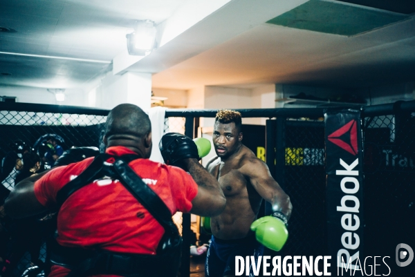 Francis Ngannou