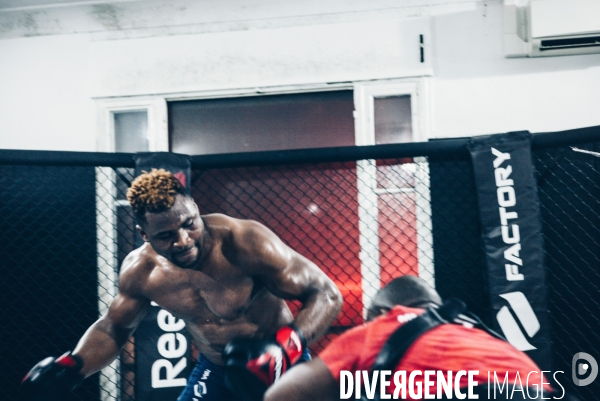 Francis Ngannou